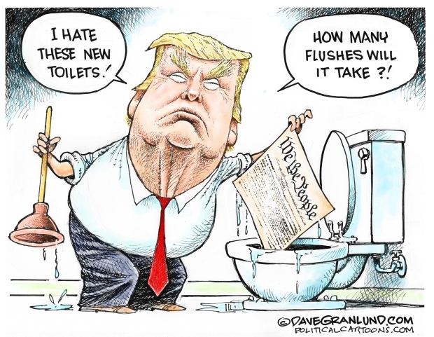 Who thinks that the Constitution should be ripped up - all laws should be discarded - and without any rule of law - Trump should be President  ?
