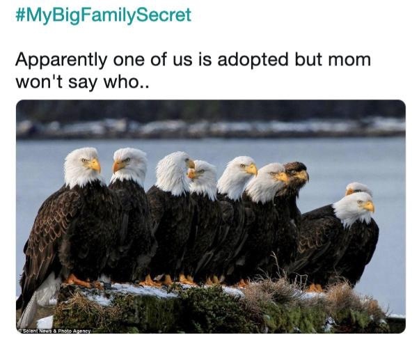 Tell me a family secret that made you go 😮 (anon answers welcome)?