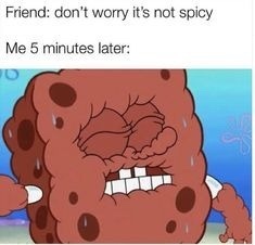 Sweet or Spicy and why?