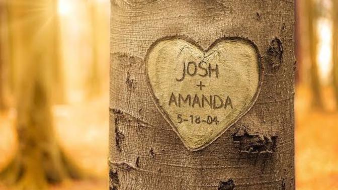 Have you ever written you and yours so name in tree 🌴?