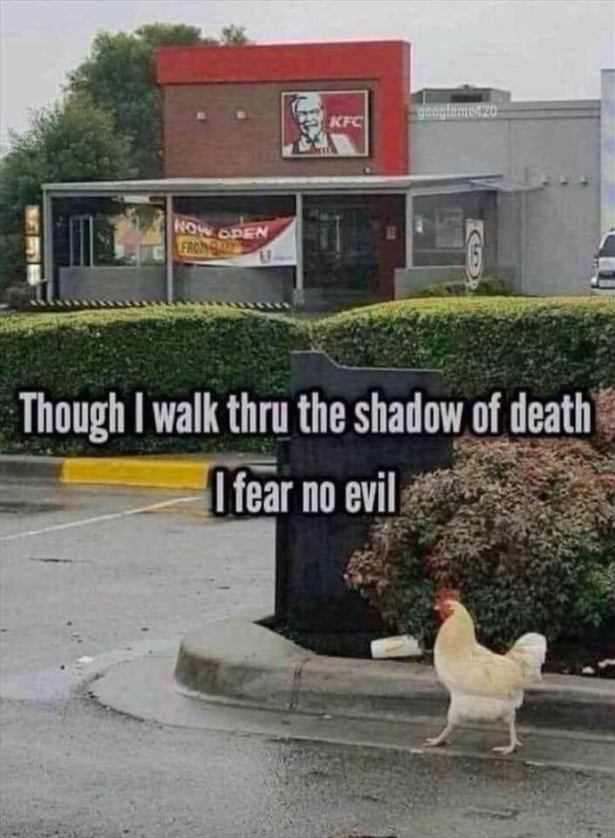 Where would you go if you were a chicken?