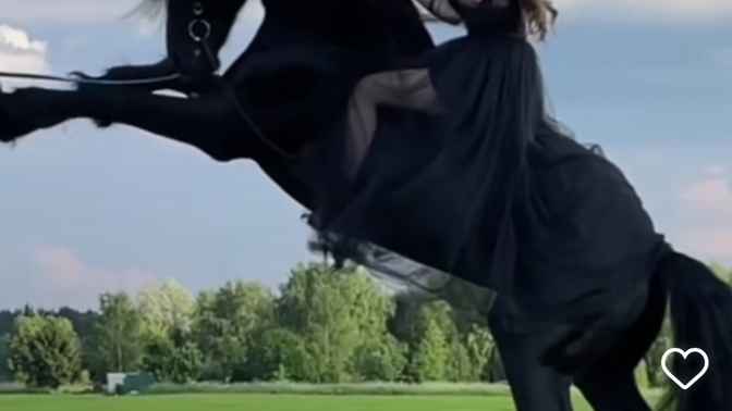 Is this horse bigger than usual?
