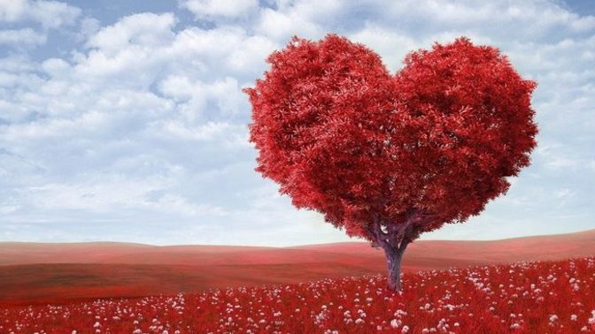 How can you attract love?