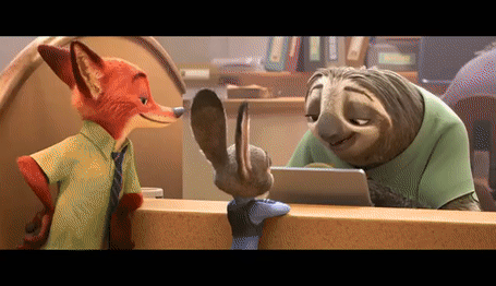 Can you beat a sloth in a race?