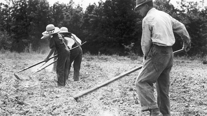 Why does Thoreau say to rejoice in weeds?