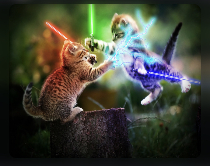 What would you do in this particular situation?