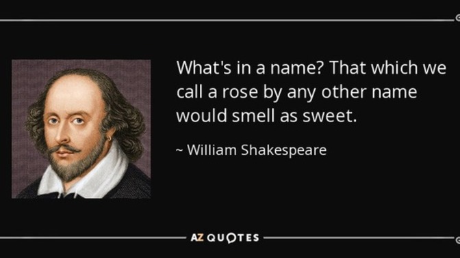 “What's in a name? That which we call a rose by any other name would smell as sweet?” What do you think of this Shakespeare quote?
