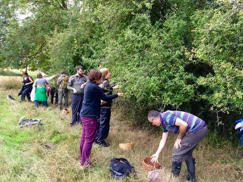 Do you like foraging for food?