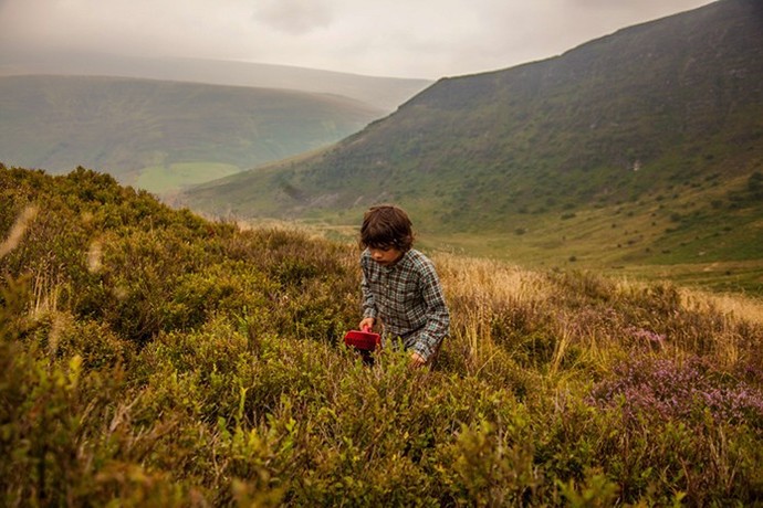 Do you like foraging for food?