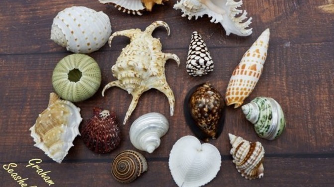 Part 4 of our which hobby would you prefer to do?