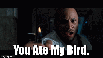 If you HAD to watch any of the movies below, which would you pick?