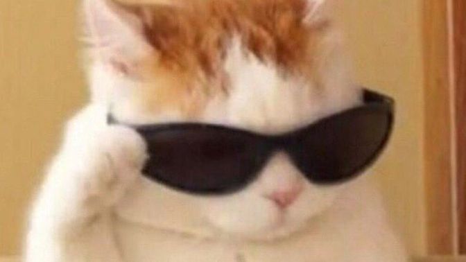 Are you cool 😎?