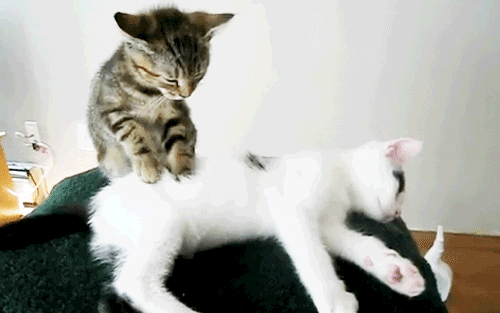 Post a GIF that describes your current relationship status?