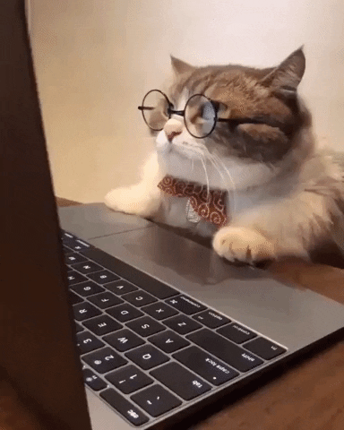 Post a GIF that describes your current relationship status?