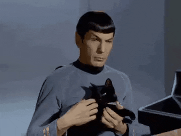 Post a GIF that describes your current relationship status?
