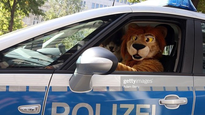 What would you do if this police lion asked for your license and registration?