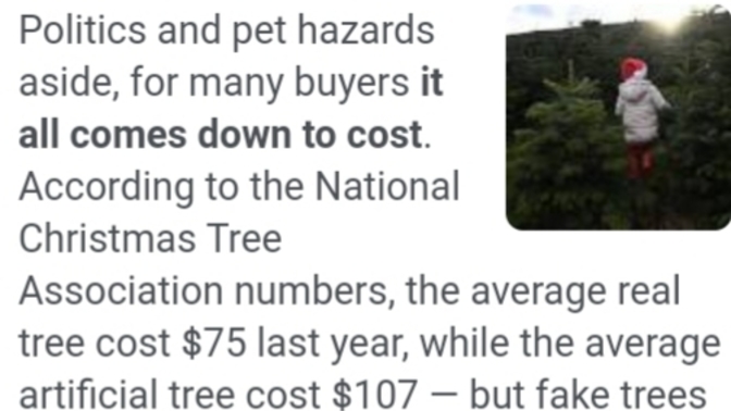 Why are people buying Christmas trees that are fake?