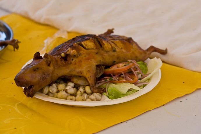 You ever ate gator before?