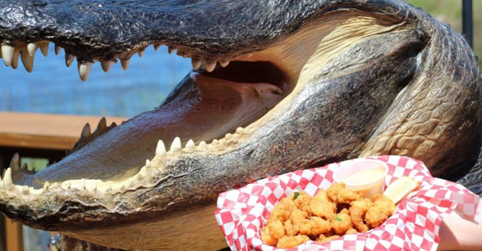 You ever ate gator before?