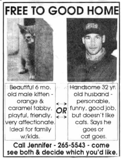 I want a cat, boyfriend does not, can he really stop me?
