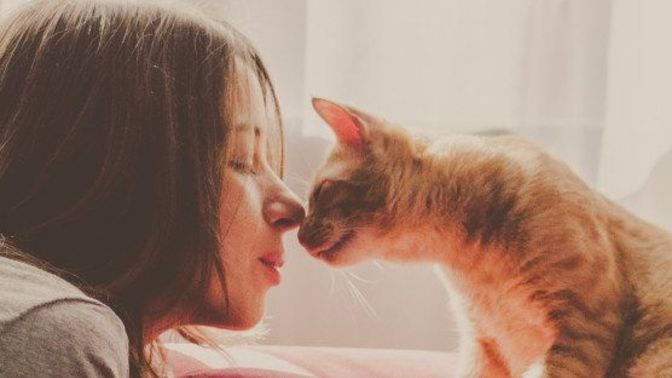 I want a cat, boyfriend does not, can he really stop me?