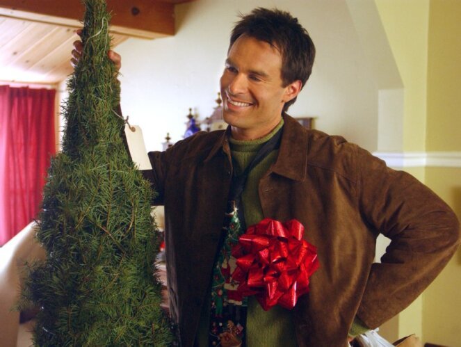 Would you like Santa to bring you a boyfriend/girlfriend for Christmas?