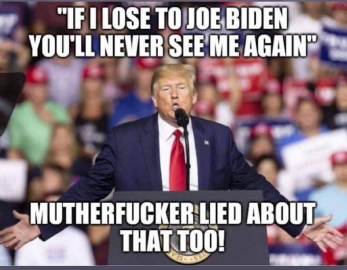 Do you love Donald Trump?