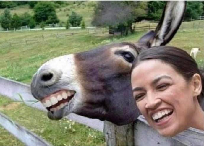 Why dont the green new deal politicians fly in electric planes?