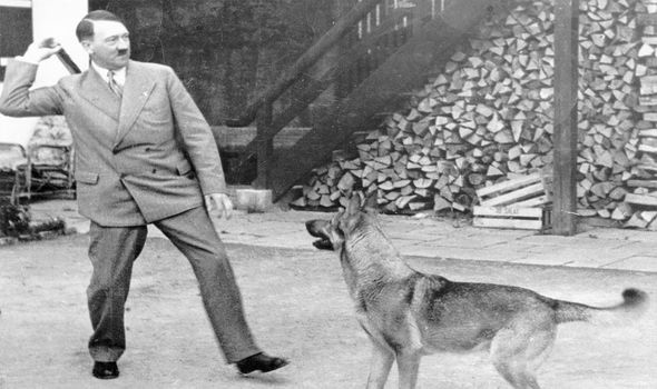 What’s with humans and pets? Why do we care more about them than people?