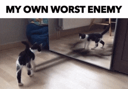 It's me. I'm my own worst enemy.