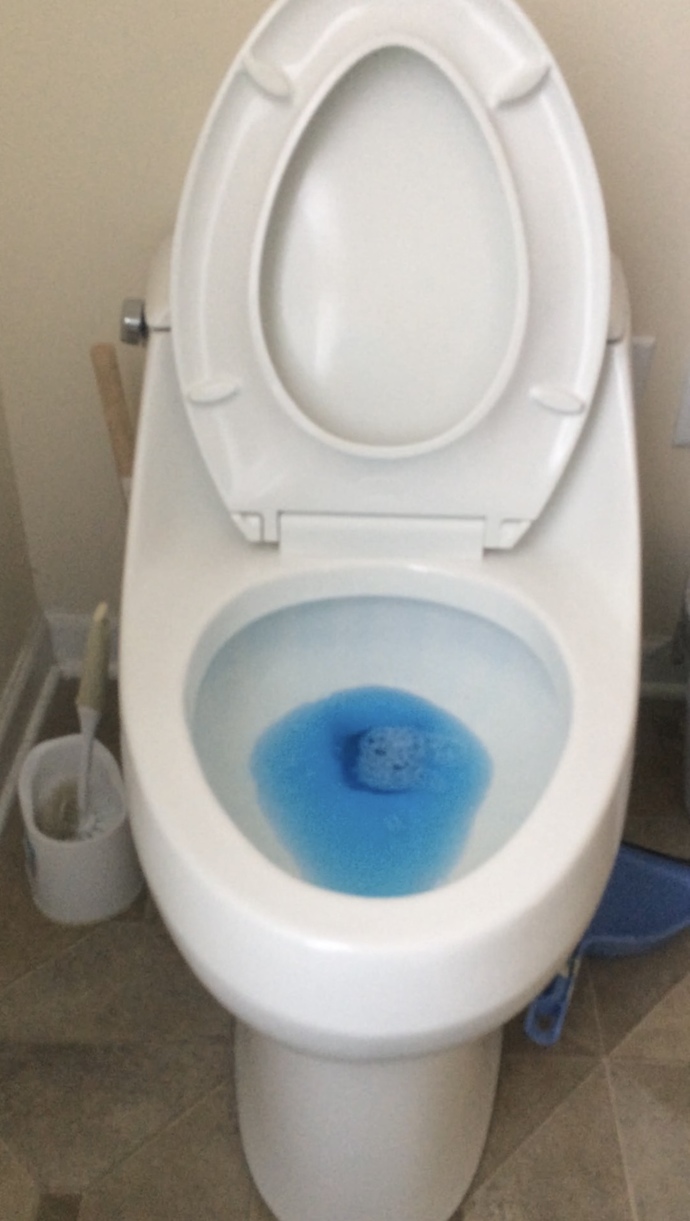 Our Kohler San Raphael one piece toilet with elongated toilet bowl