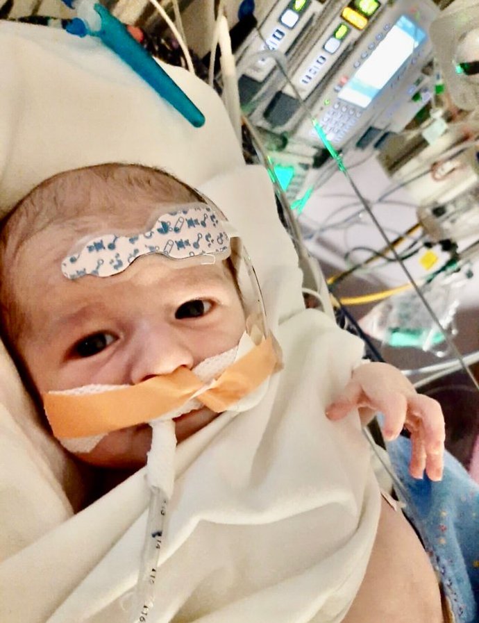 What do you think these parents should do after the New Zealand government took their child away and murdered him?