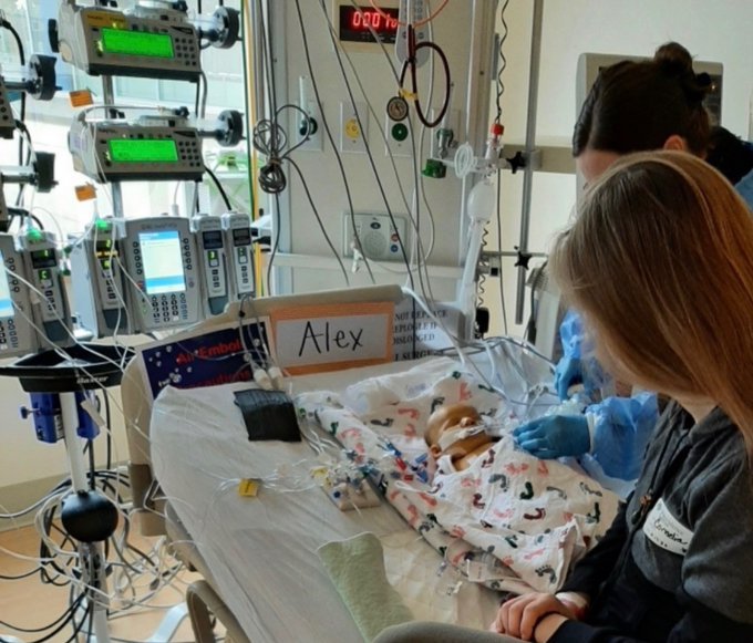 What do you think these parents should do after the New Zealand government took their child away and murdered him?