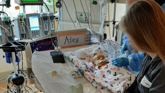 What do you think these parents should do after the New Zealand government took their child away and murdered him?