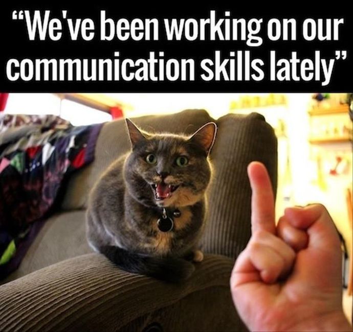 How good are you at effectively communicating your needs verbally?