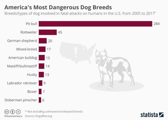 Should Dogs that attack people be destroyed?