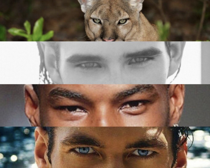 Prey Eyes vs. Hunter Eyes What's your Canthal Tilt? GirlsAskGuys