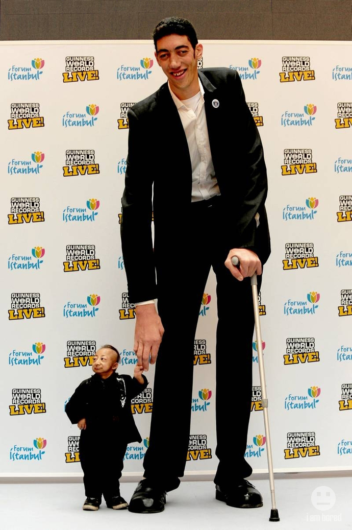 Sultan Kosen 8 ft. 3 inches with world's shortest runt. 