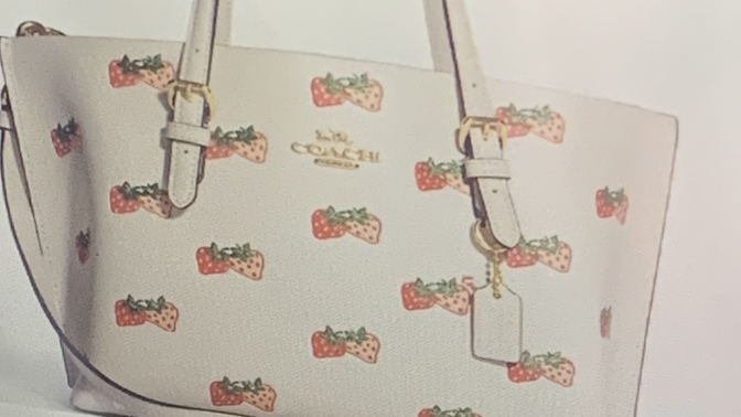 Never even cared for bags before but which bag 😭?