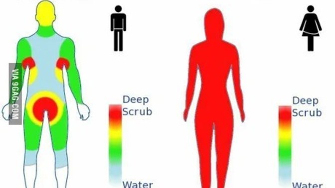 Girls, how do you shower? Is this diagram true?