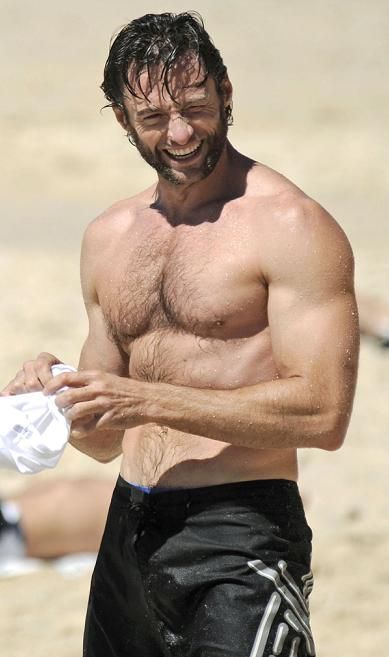 the wolverine on holidays