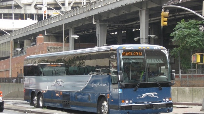 I caused a delay on the travel bus. Should I apologize to the driver?