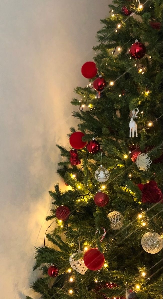 Do you have a Christmas tree in your house right now? GirlsAskGuys