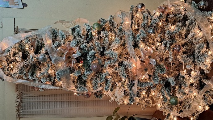 Do you have a Christmas tree in your house right now?