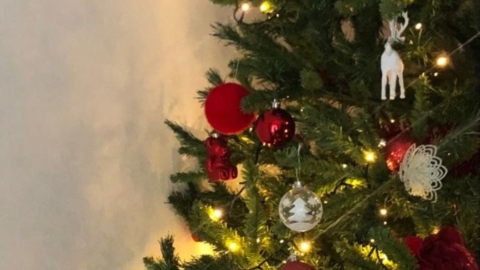 Do you have a Christmas tree in your house right now?
