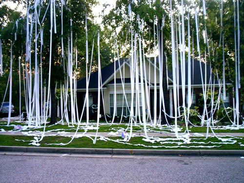 Which way do you hang your toilet paper?