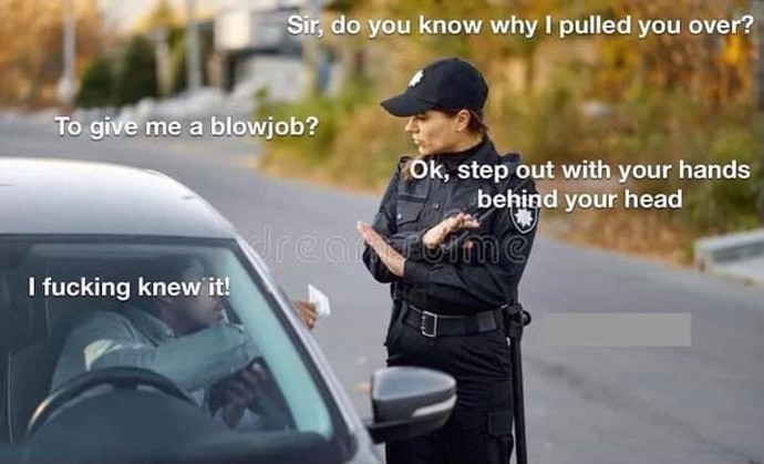 Do you consider cops an asset or enemy?
