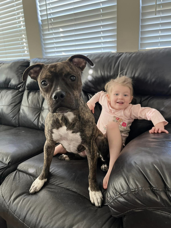 Step away from the kid and no one gets hurt.