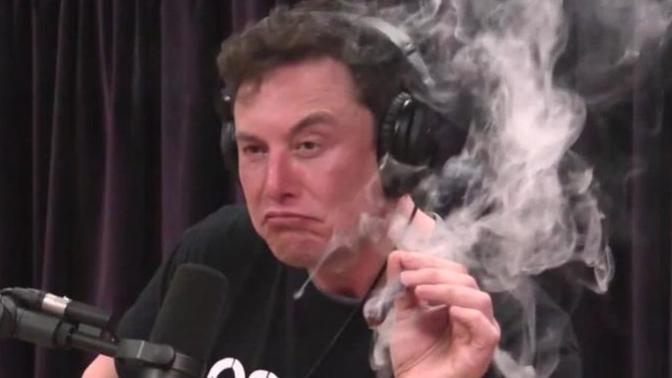 What would you do if Elon Musk bought G@G?