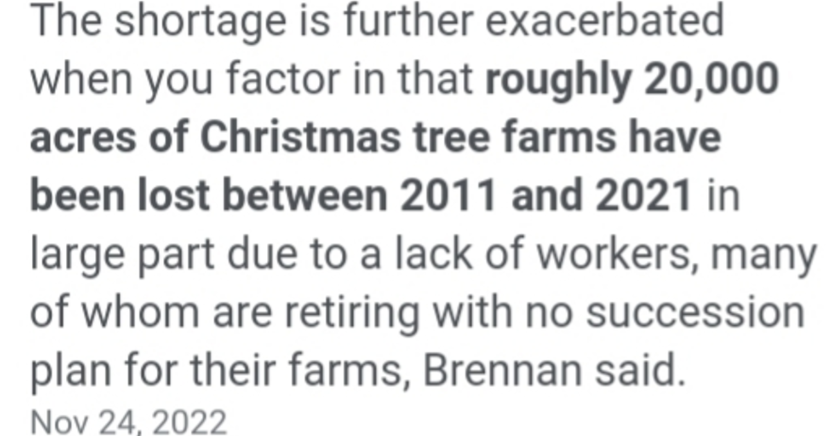 Live Christmas tree shortages what's happening ? GirlsAskGuys